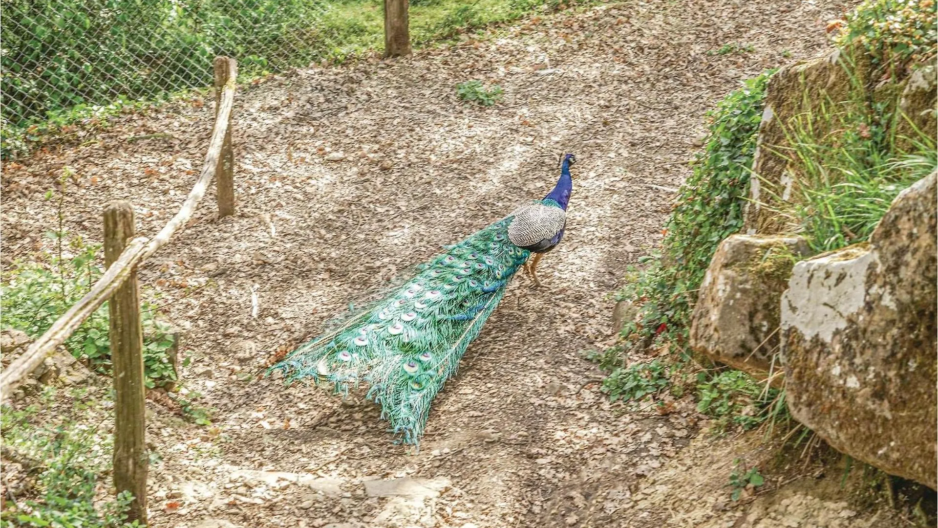 Villa Tita Poppi Italy